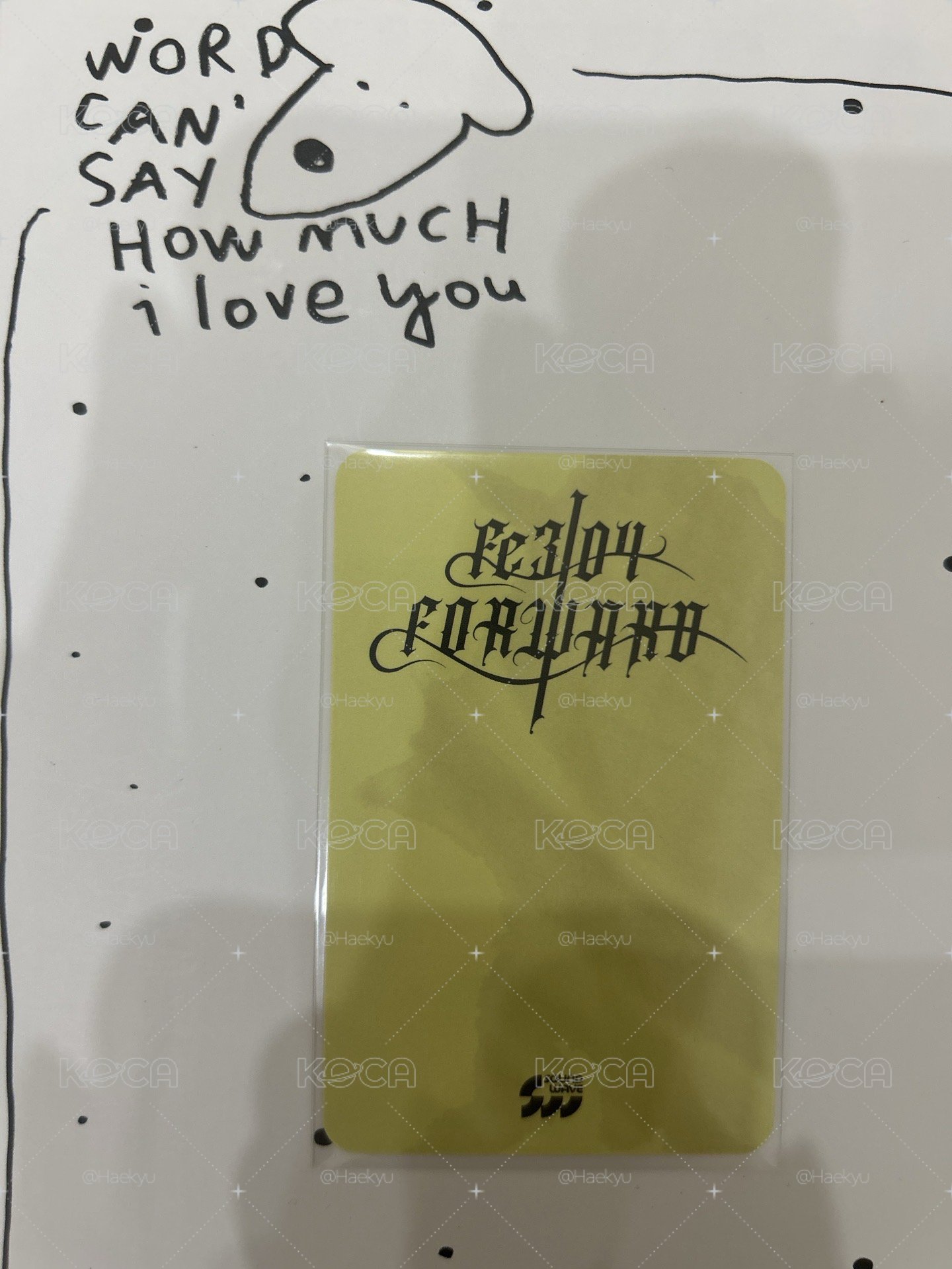 小鴨嫄