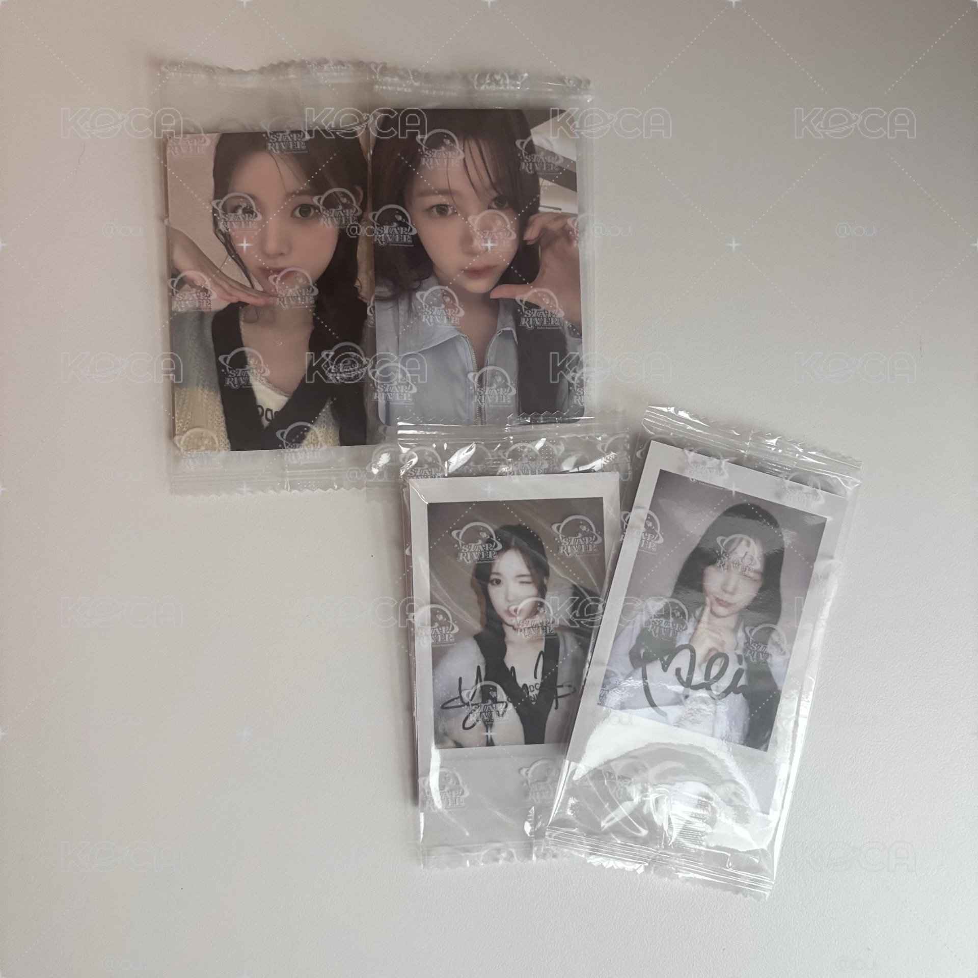 H2H Focus 星河Sr1.0 中文卡背 Yuha Yeon