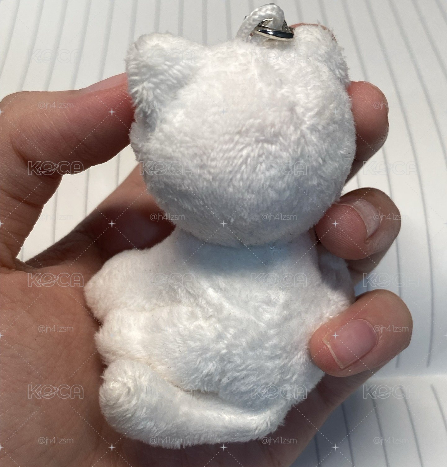 TWS娃、小卡、單封小盤