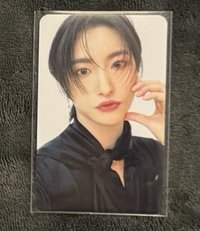 TTL美人星