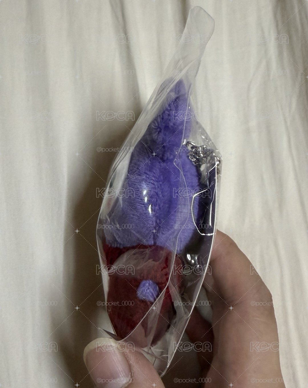 紗小盤