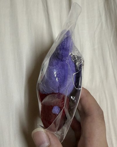 紗小盤
