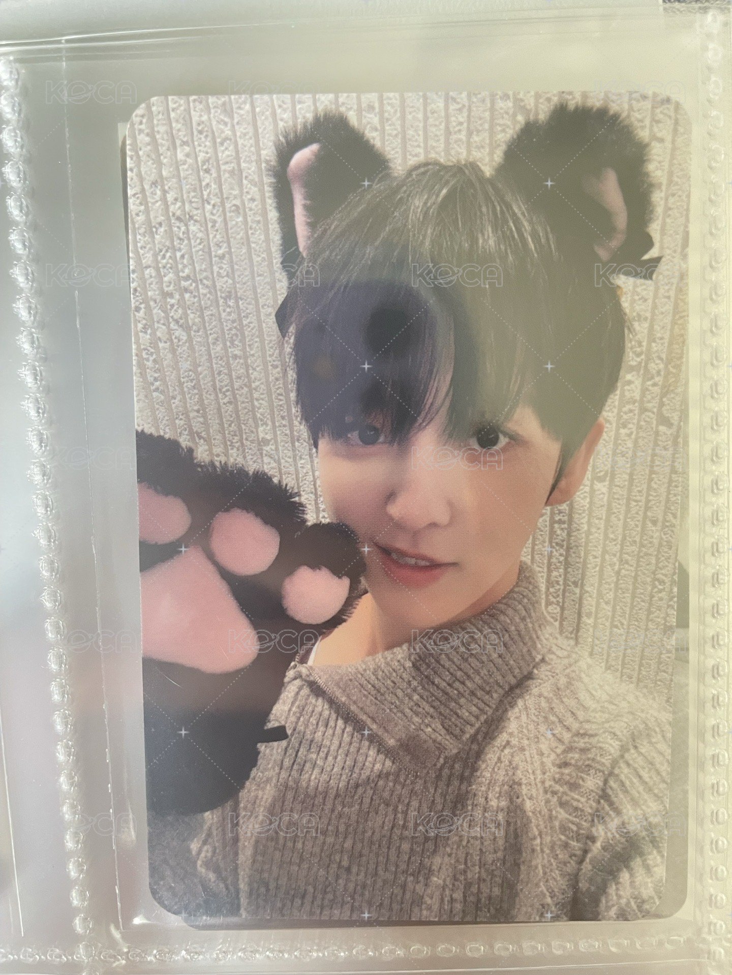 東玹小貓🐱