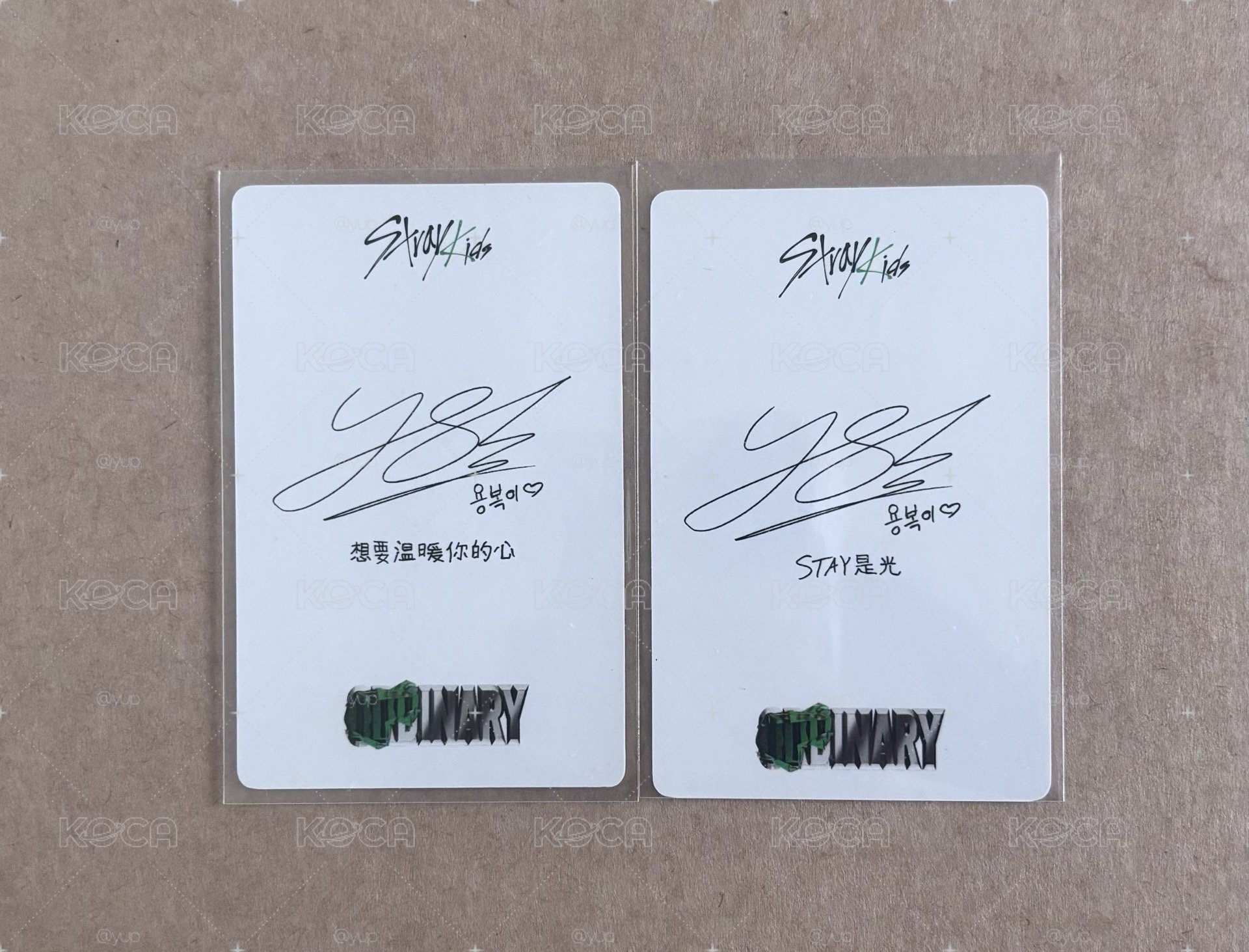 🧭 菲Odd一直娛中背+KARMA MP、FANS