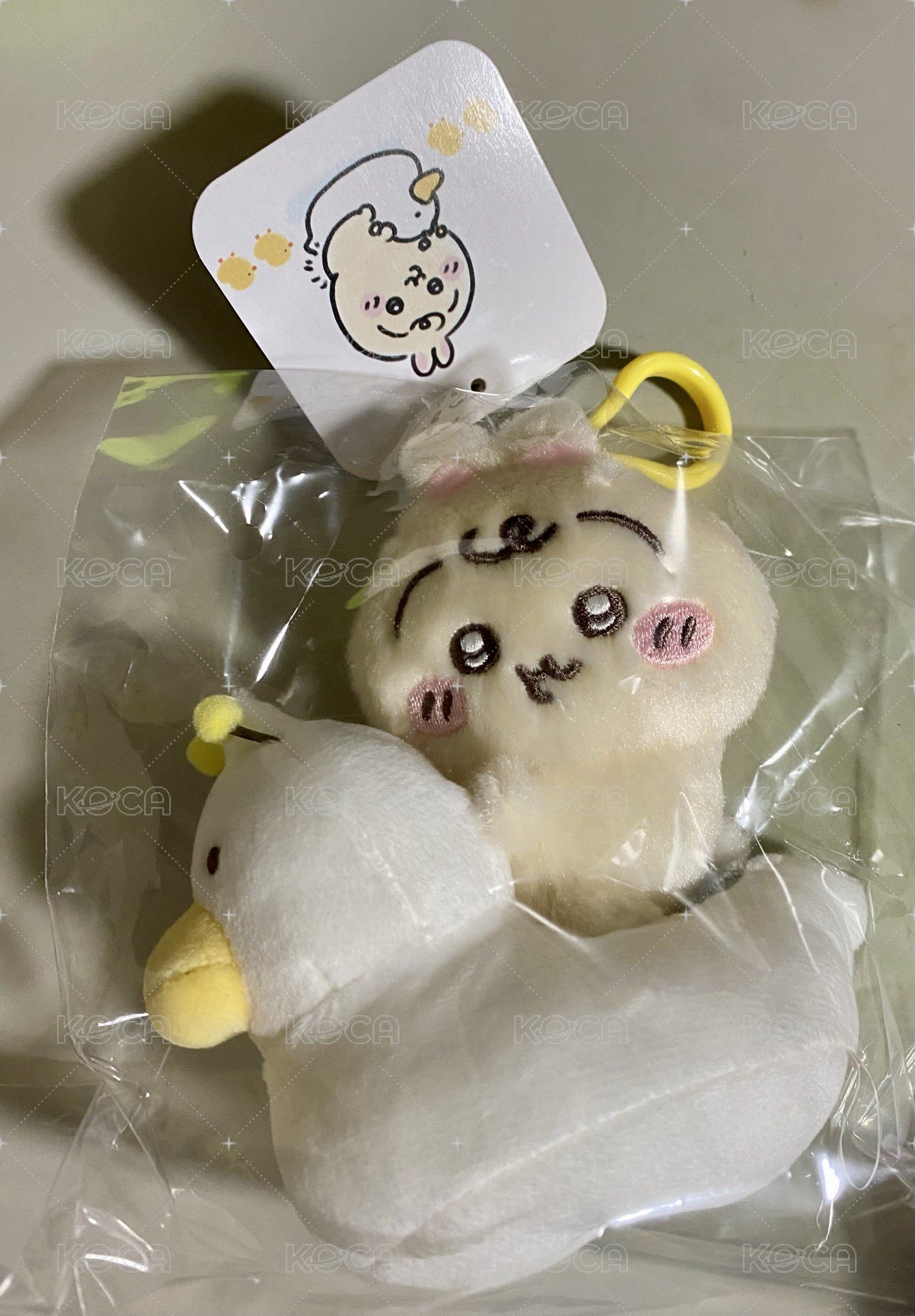 鴨鴨兔兔