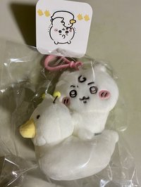 鴨鴨吉伊