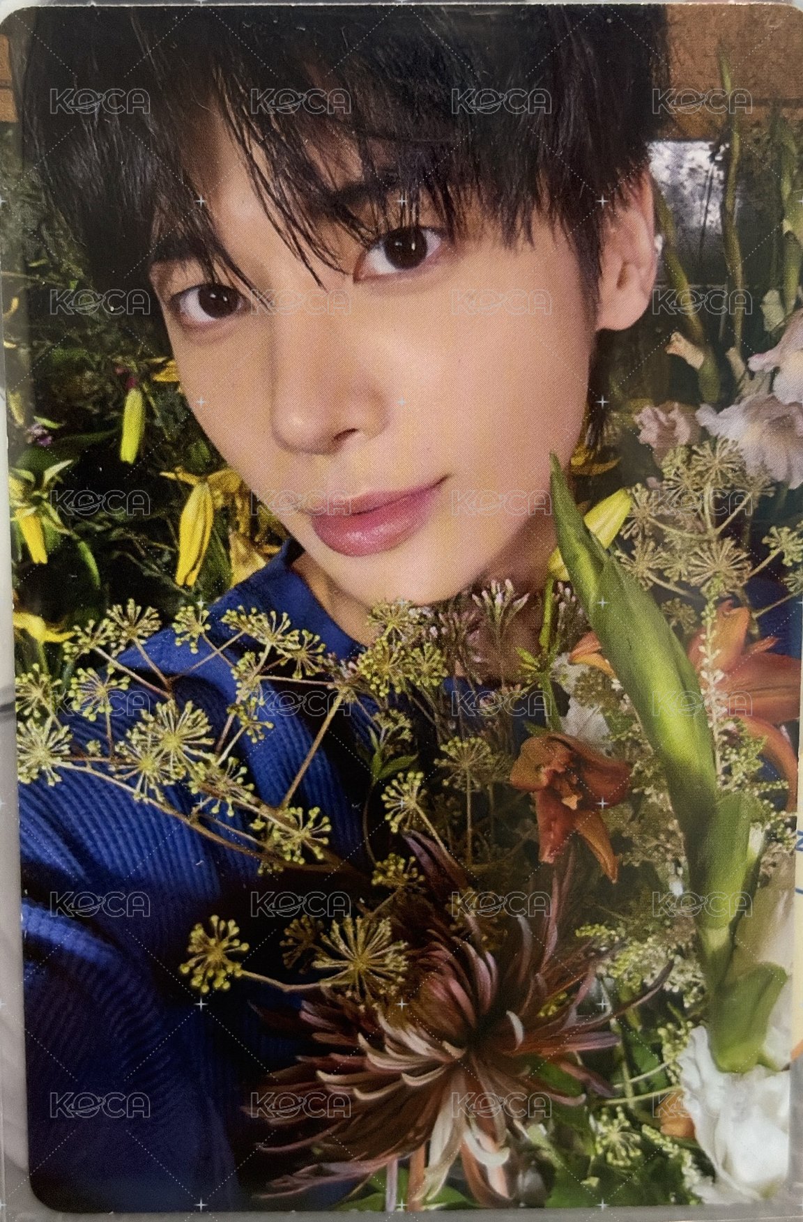 捧花💐顯卡