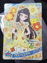 フラワーガーデン(些微白點)