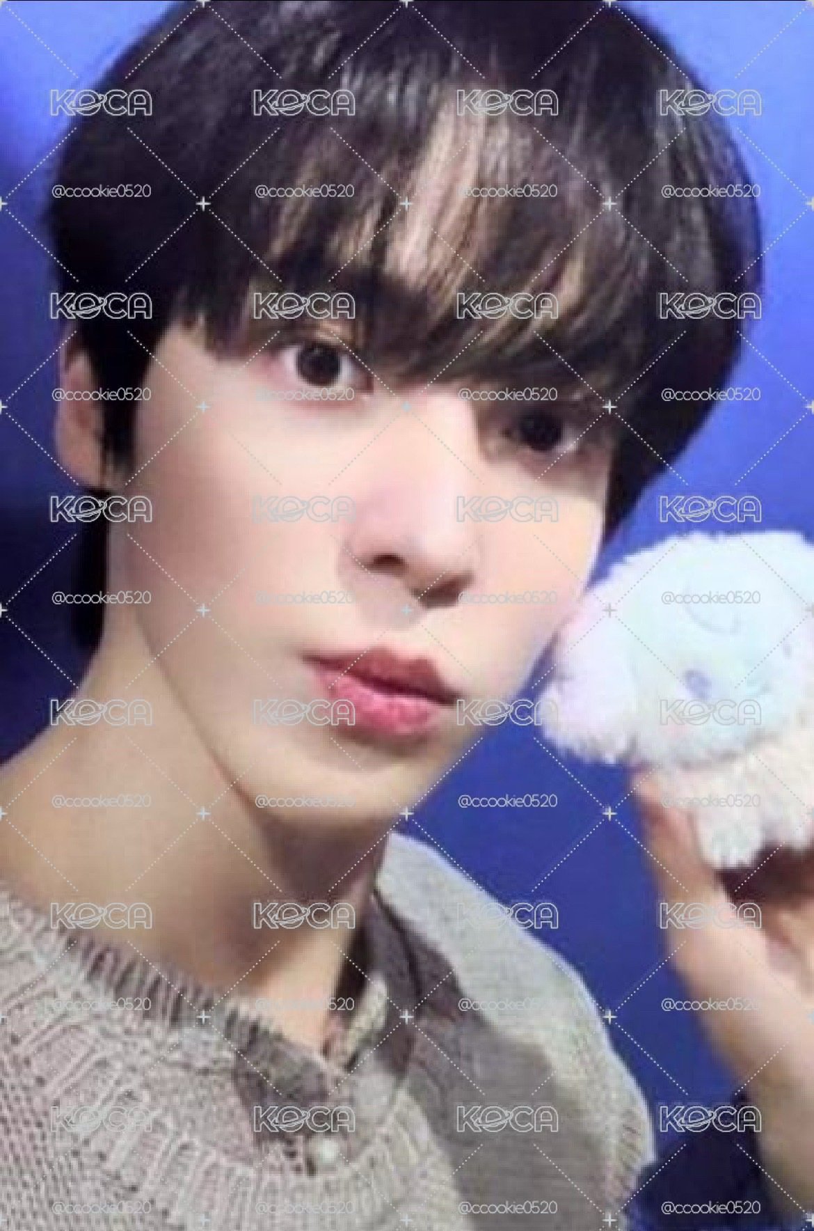 ATEEZ 混色潤娃卡