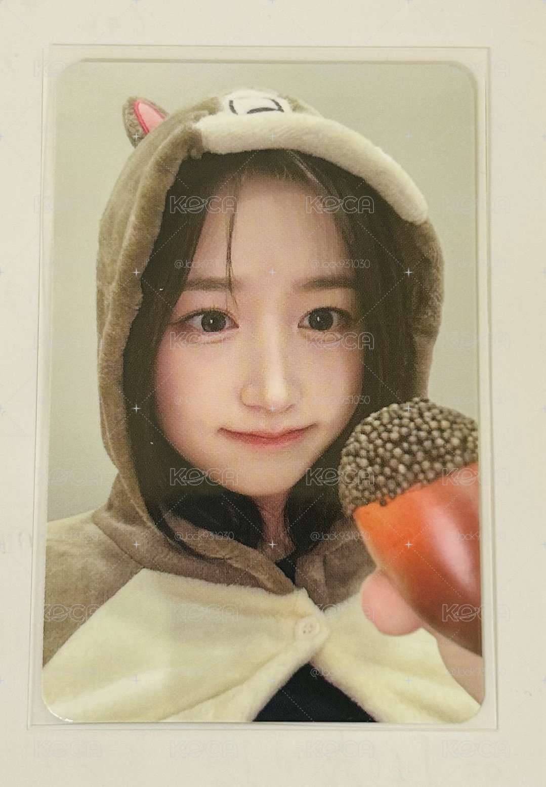 Ms 松鼠嫄