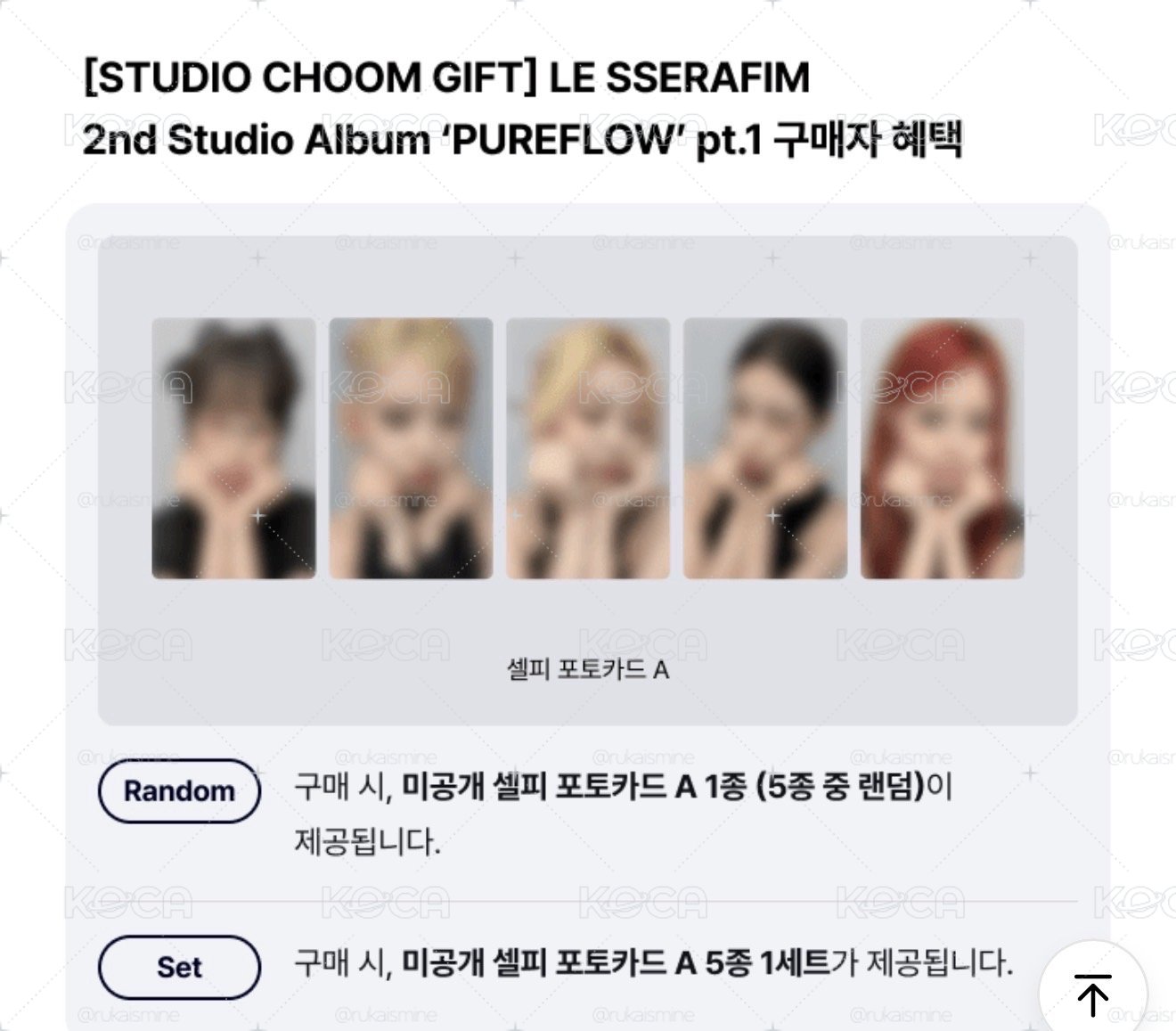 STUDIO CHOOM PB特典卡 一套