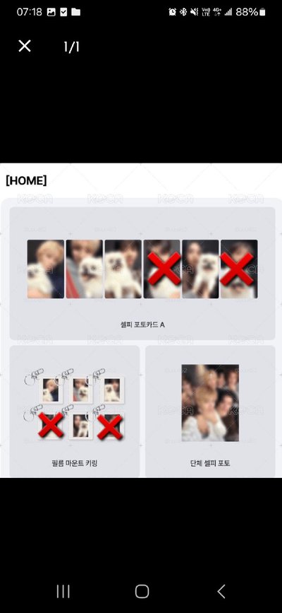 Home狗狗特典
