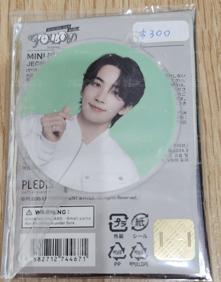 SEVENTEEN TOUR 'FOLLOW' TO JAPAN   Jeonghan小扇