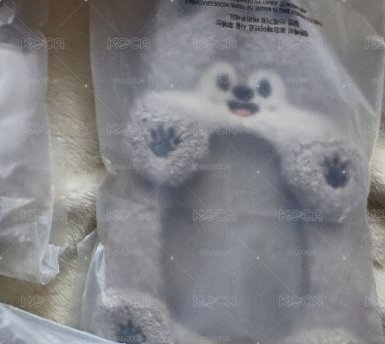 燦 絨毛卡套