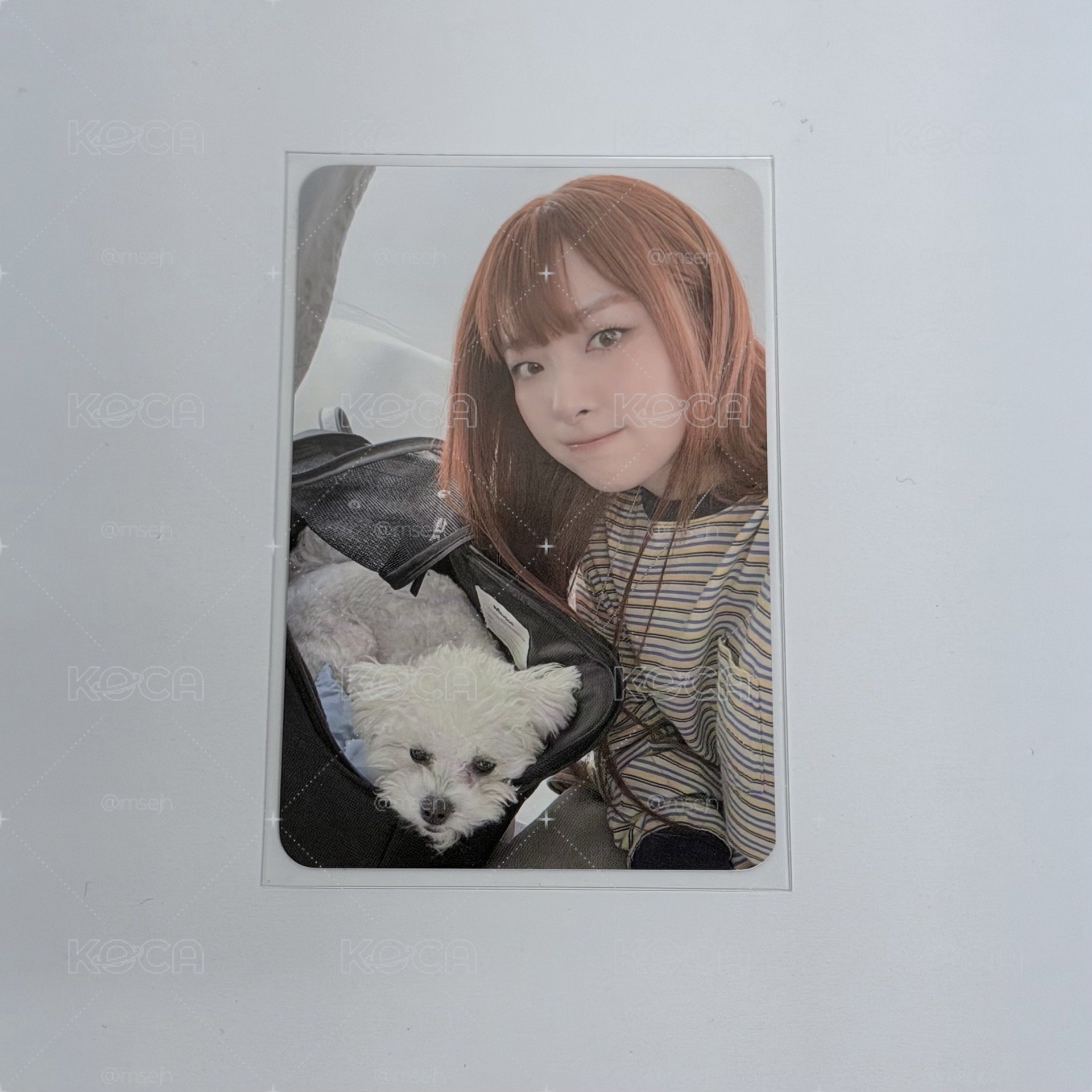 Seulgi K4 幸運卡