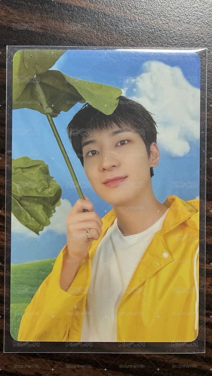 💎圓MINI11 專輯卡 CARAT ver.