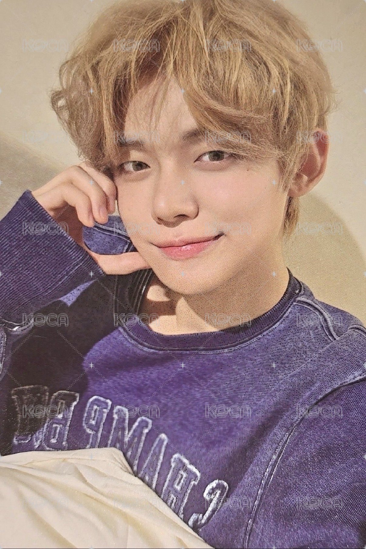 金髮愛心小貓
