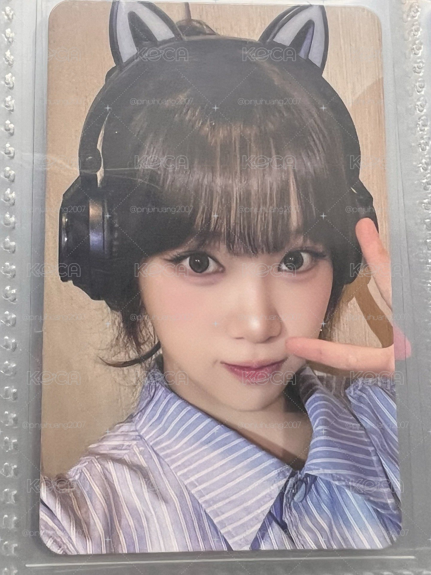 HELLO82 貓耳采