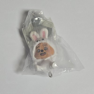 SKZOO換皮扭蛋 彬城 不拆