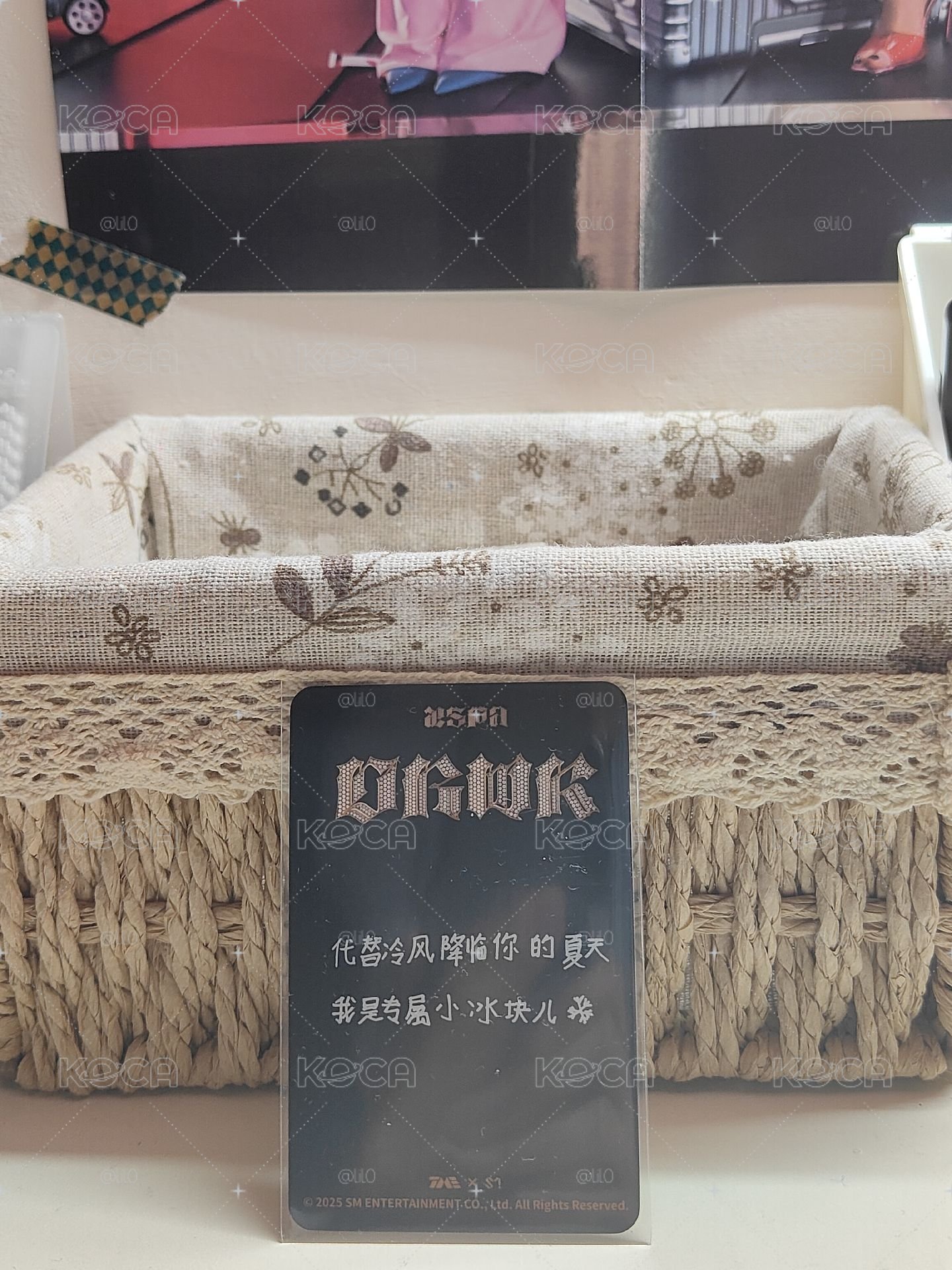 小冰块冬(中背)