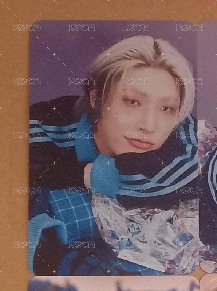 趴姿琦