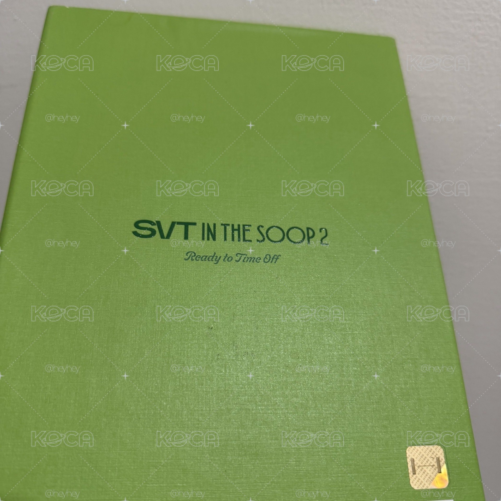 IN THE SOOP 2全套