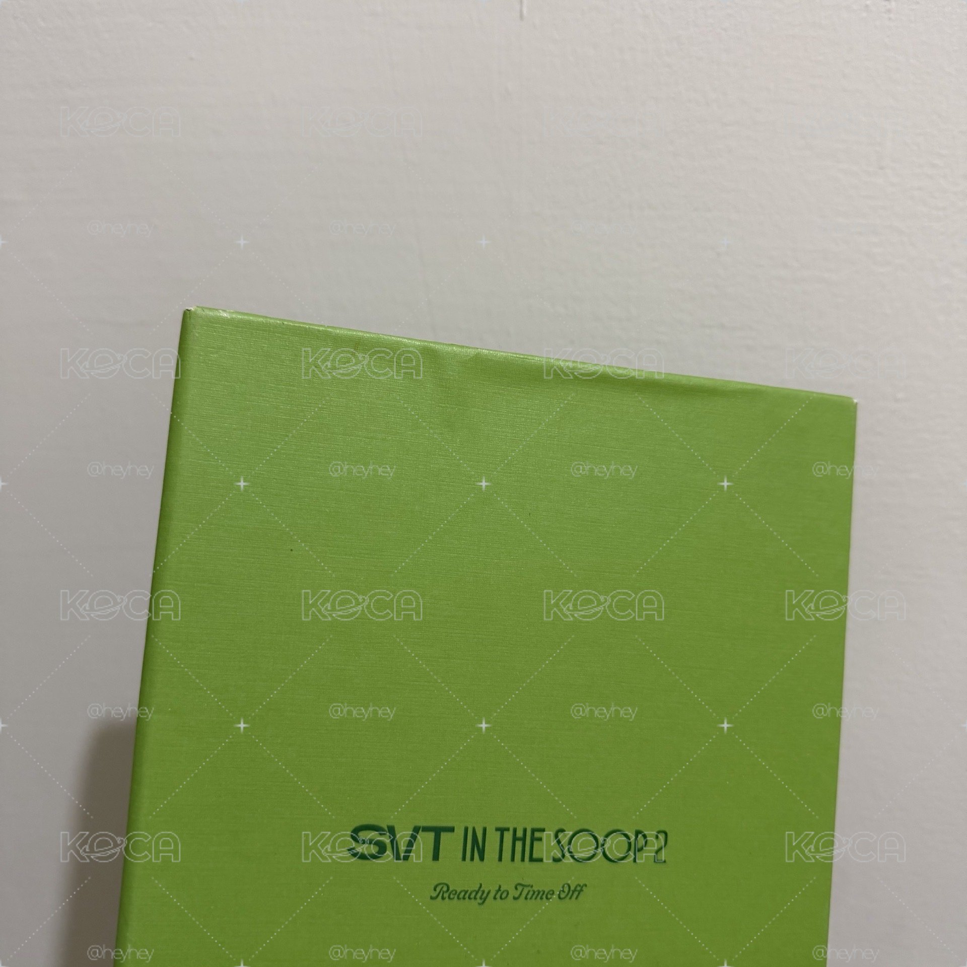 IN THE SOOP 2全套