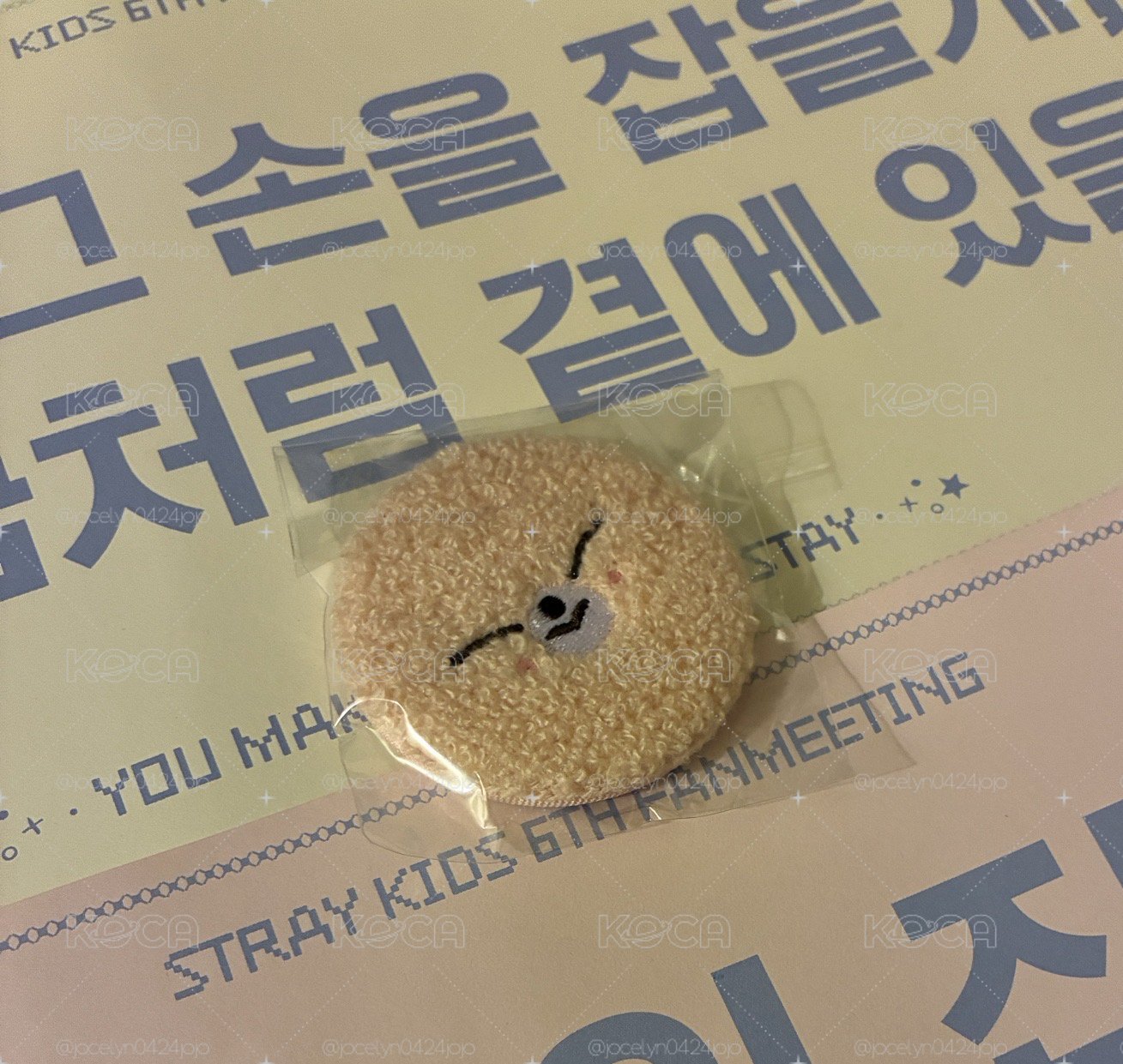 fm徽章 福西尼大頭