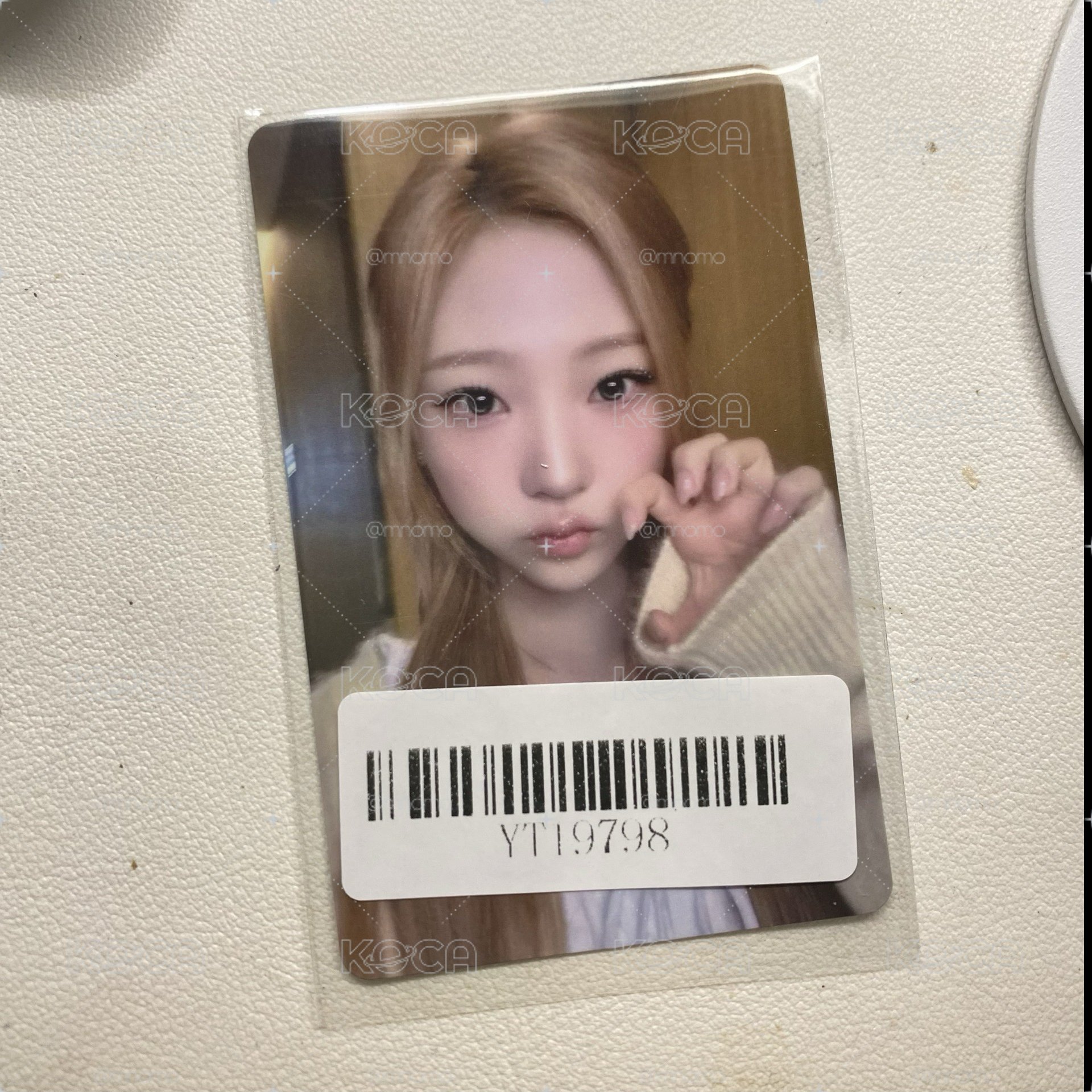 Focus kms 2.0 v1 簽售卡 上海