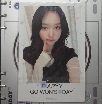 Gowon hl生日會特典