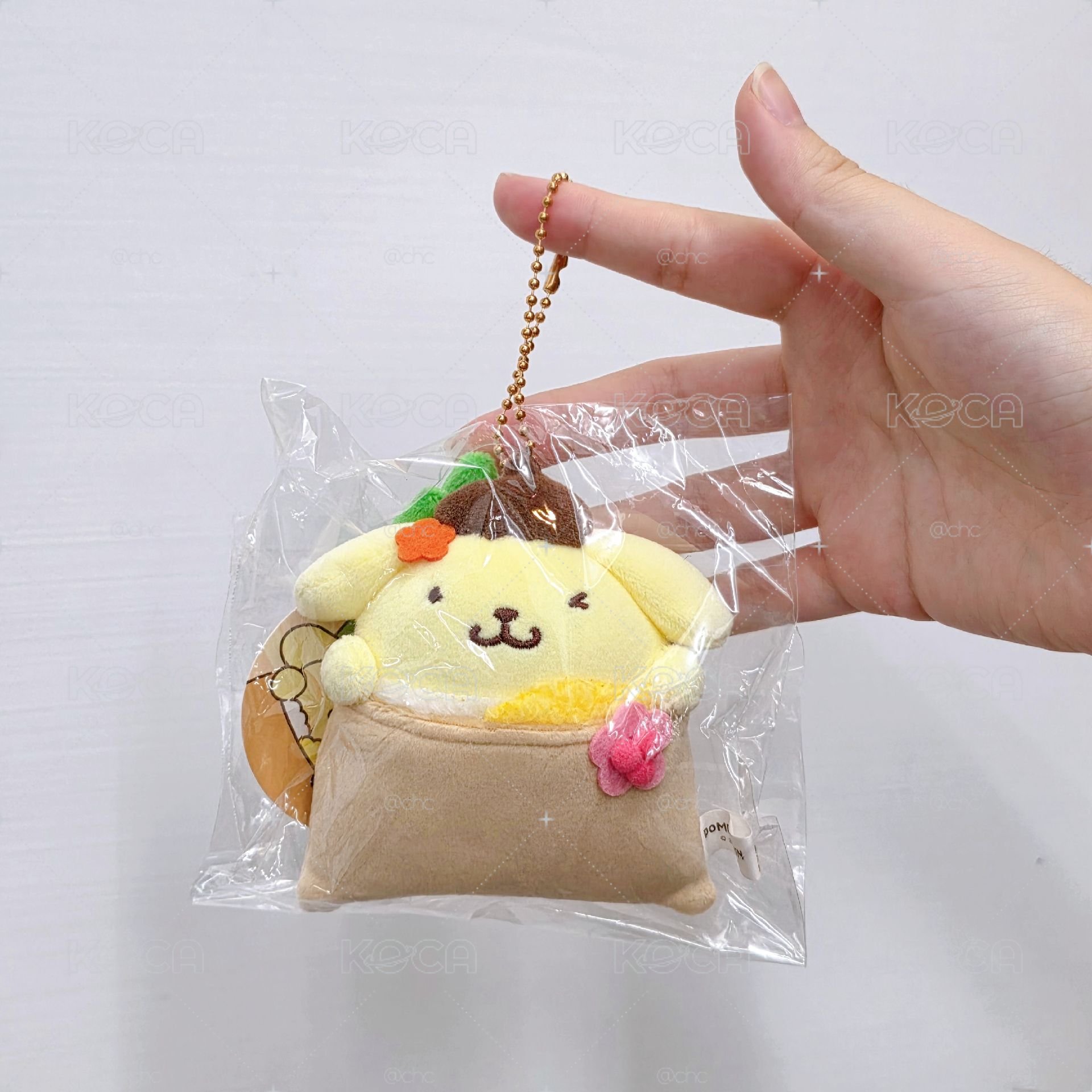 日本三麗鷗 豆皮壽司布丁狗