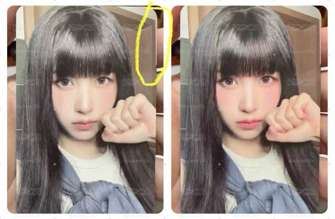 貓拳南警世文