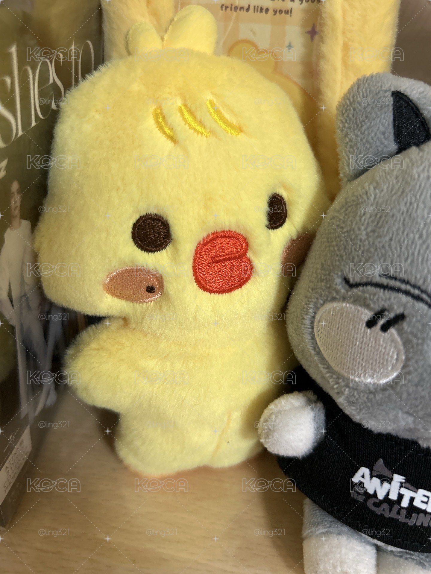 豆豆眼雞排 🐥