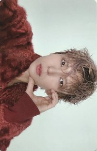 迷你五專 專輯卡 WHOLE ver.