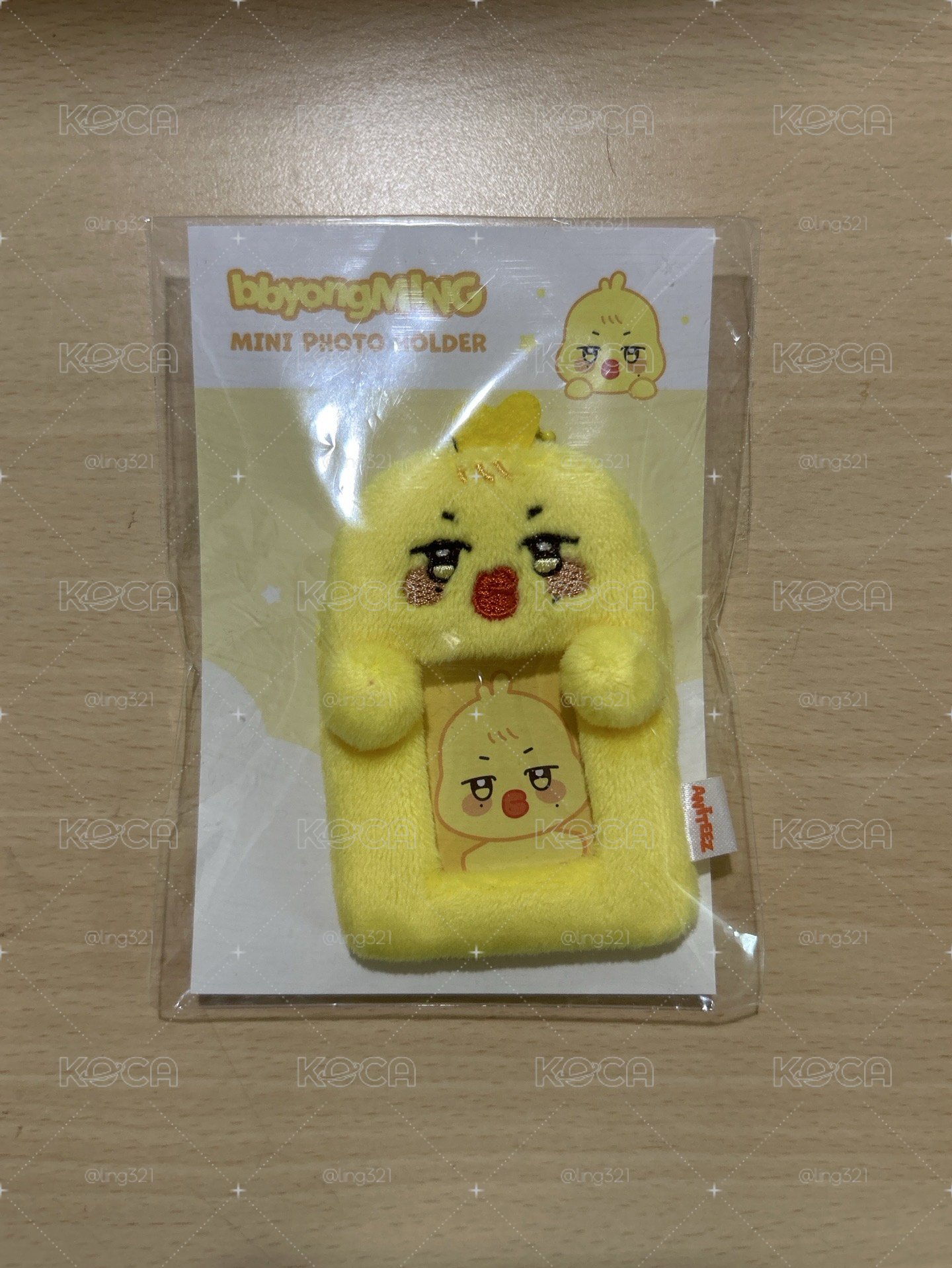 ANITEEZ 迷你卡套 琦