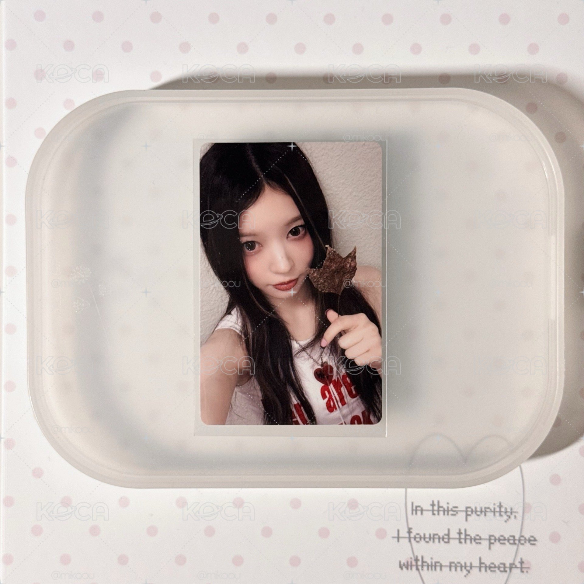 Moka yzy楓葉特典