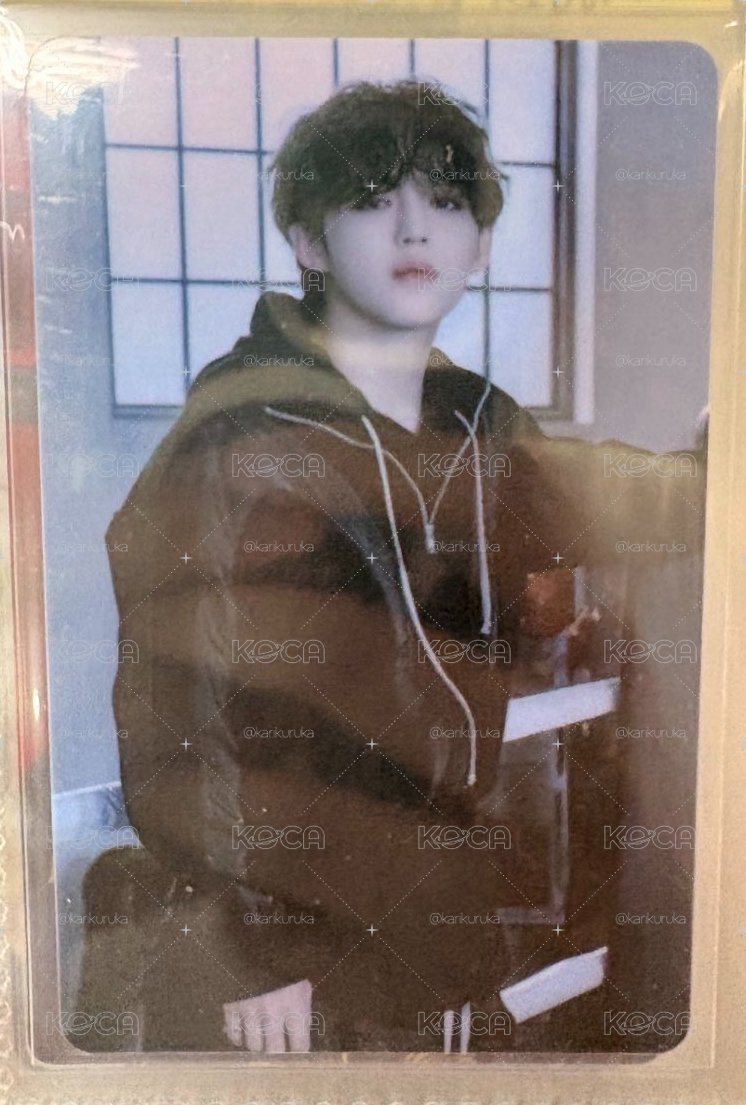 MINI10 專輯卡 wvs電子專 S.COUPS