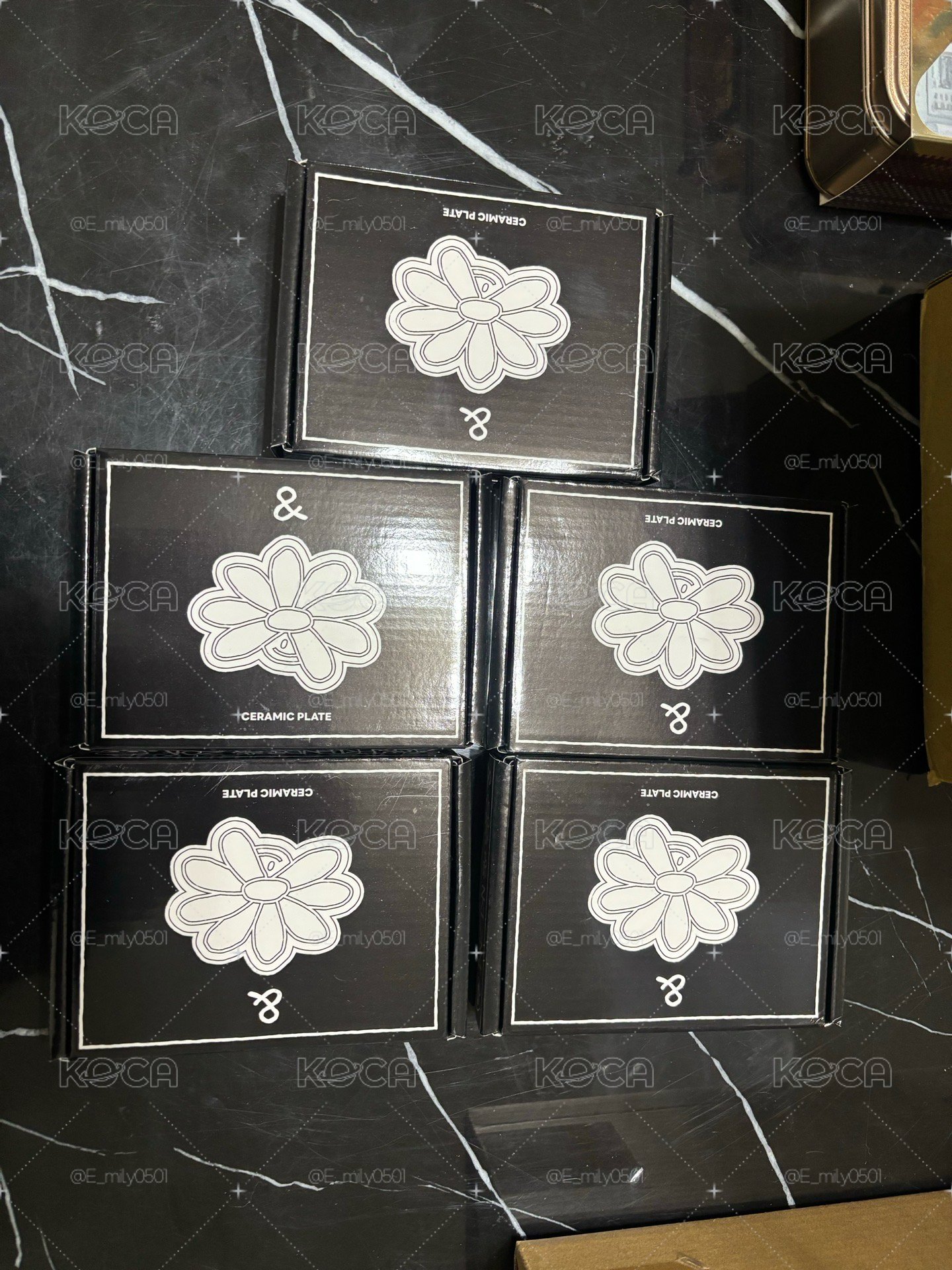 ZOA系列➡️花盤