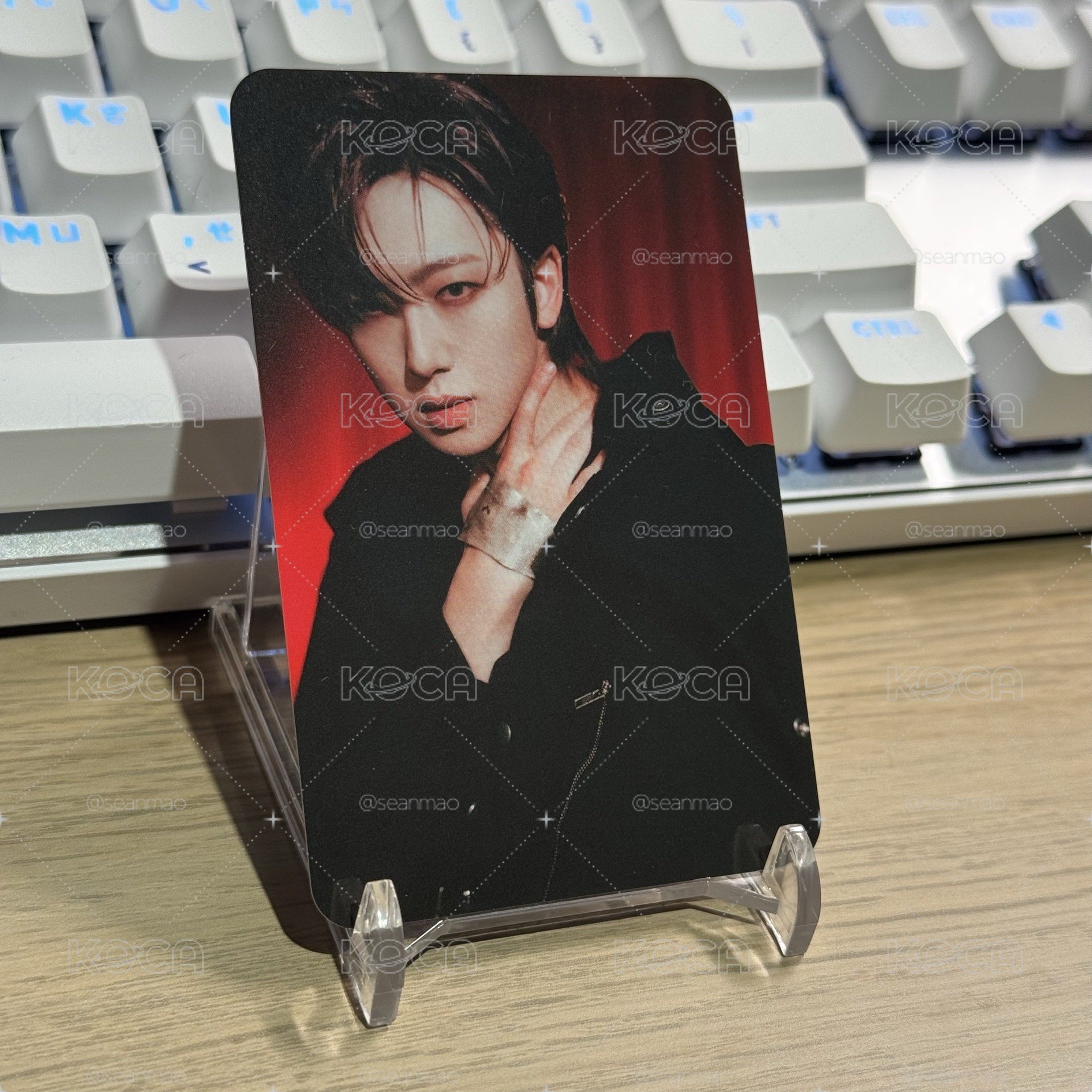 台北場 VIP入場卡