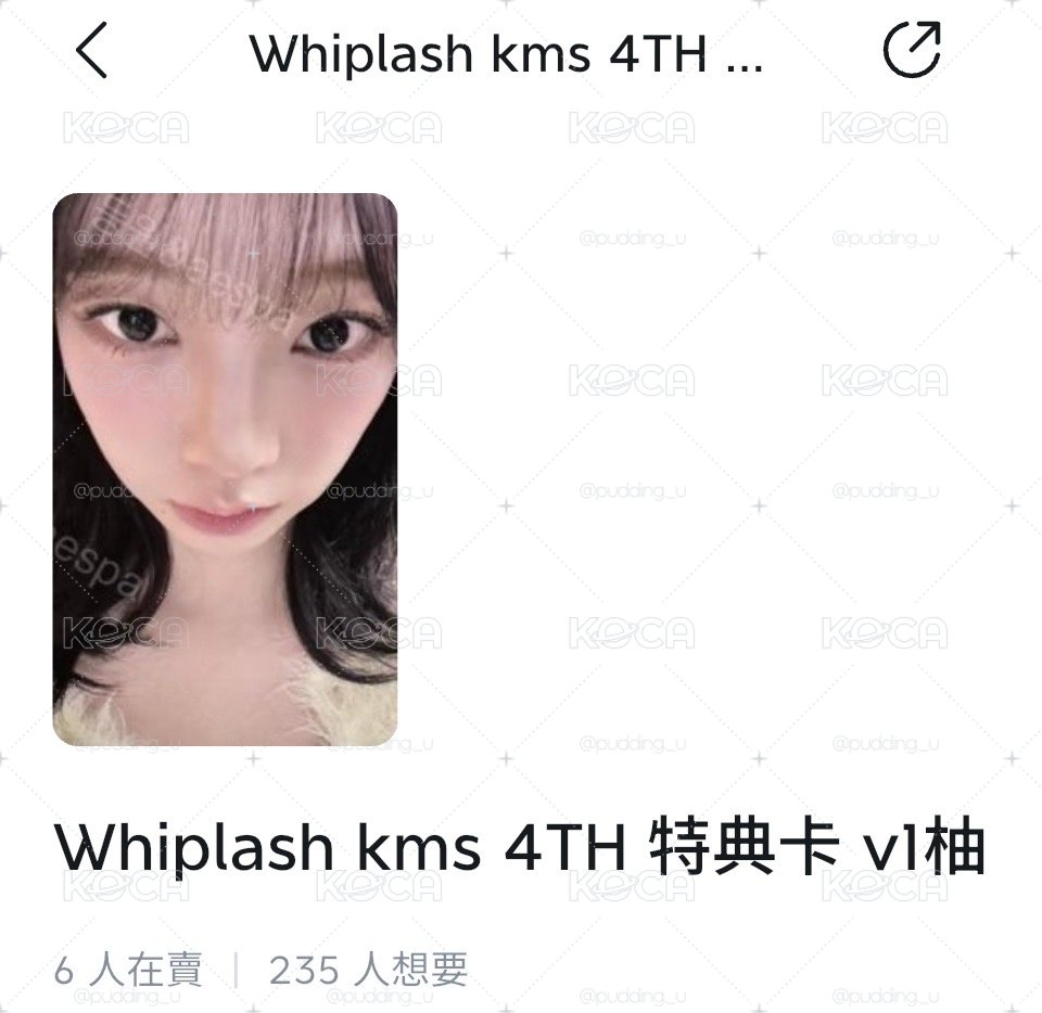 豬包。