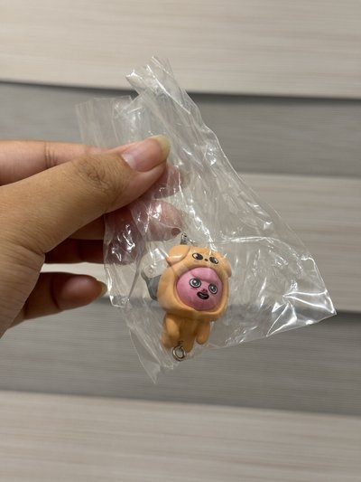 SKZ扭蛋，兩隻不拆