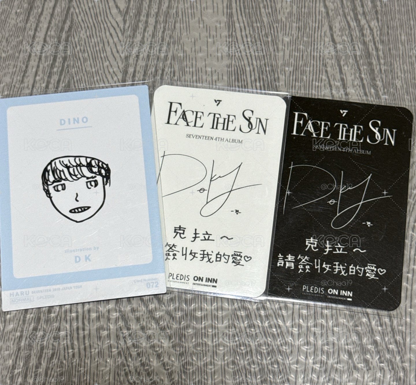 face the sun 中背小盤