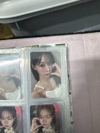 茉莉冬