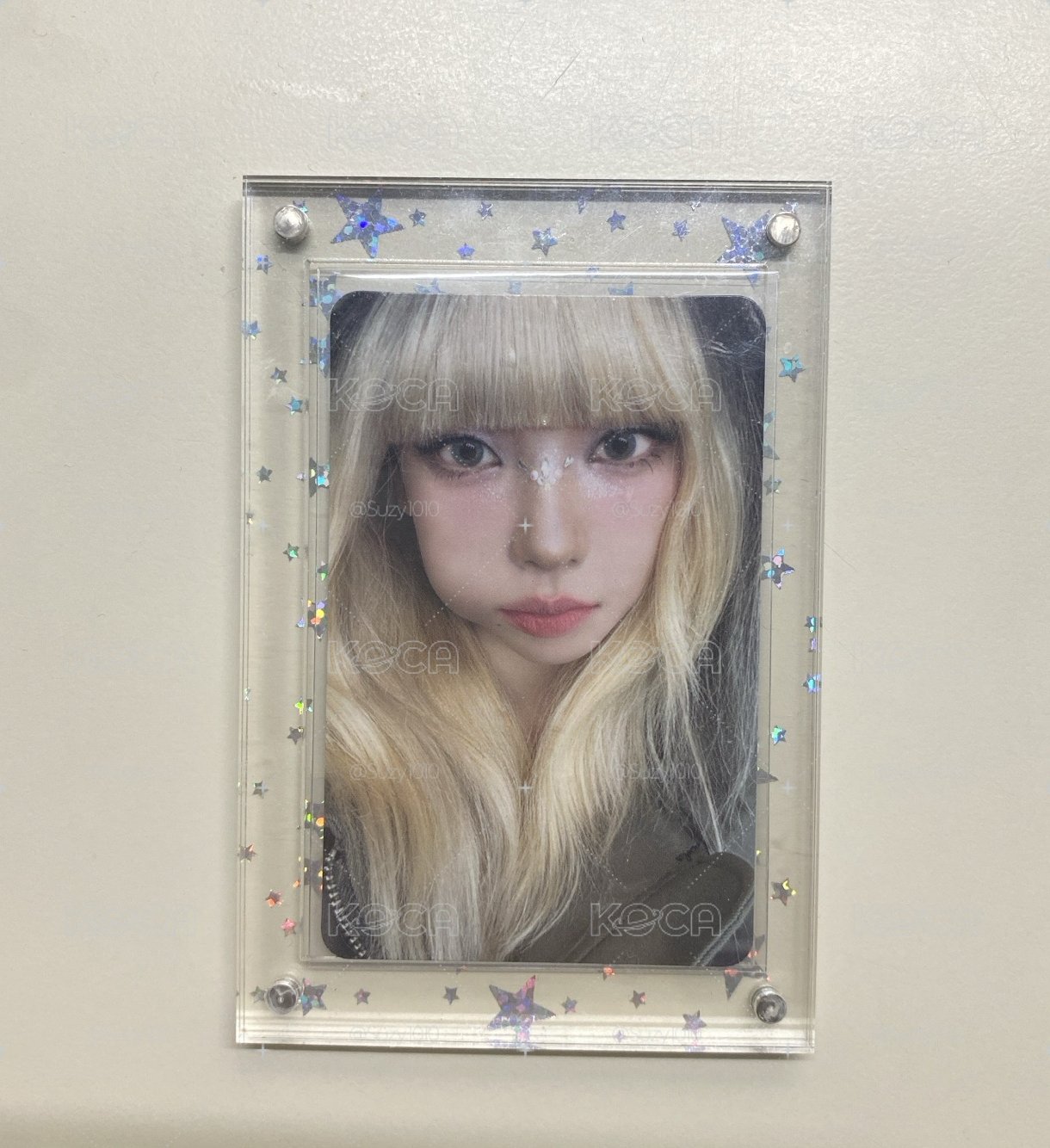 金髮豬包柚子✨✨