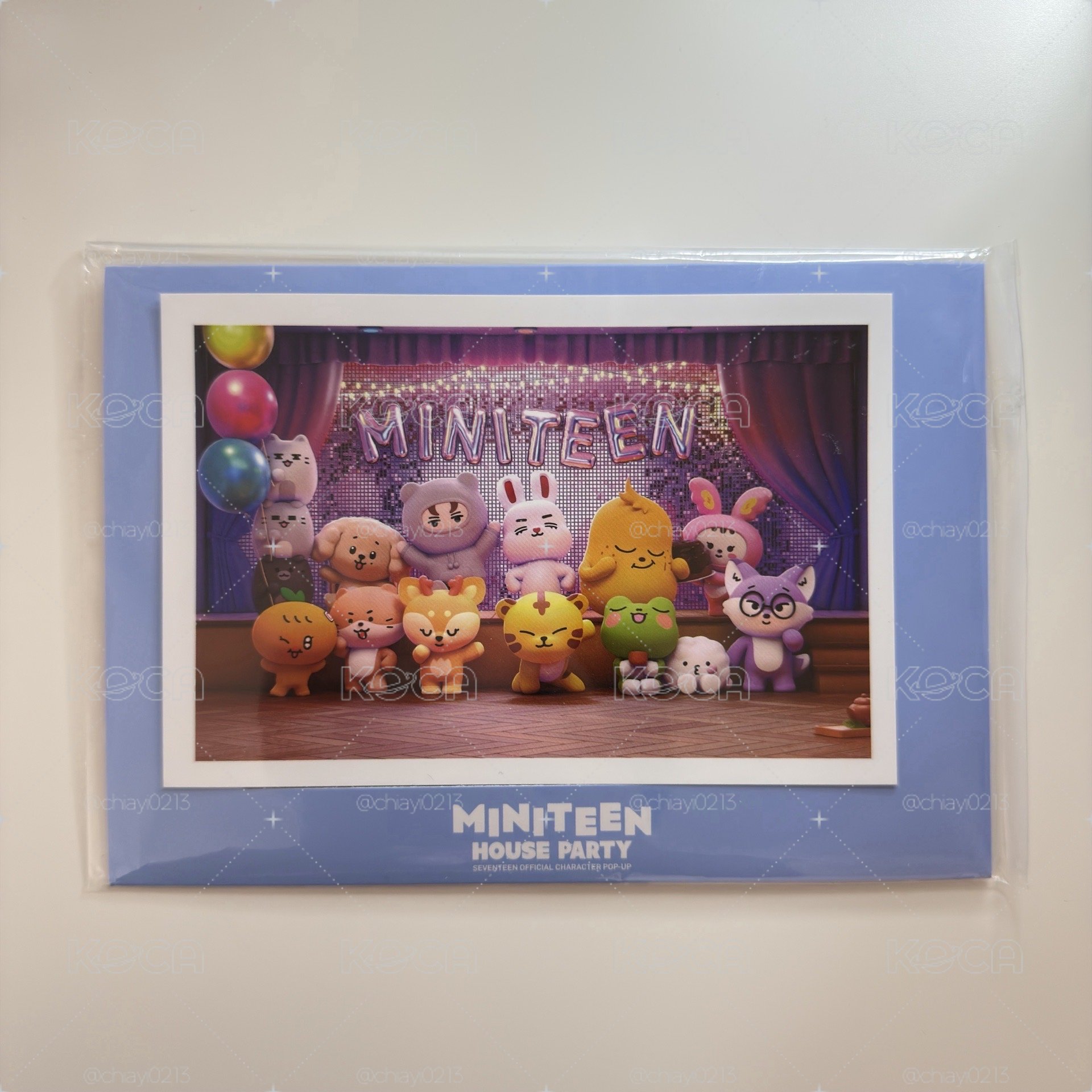 Miniteen 相框 入場特典✨