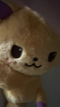 hnn