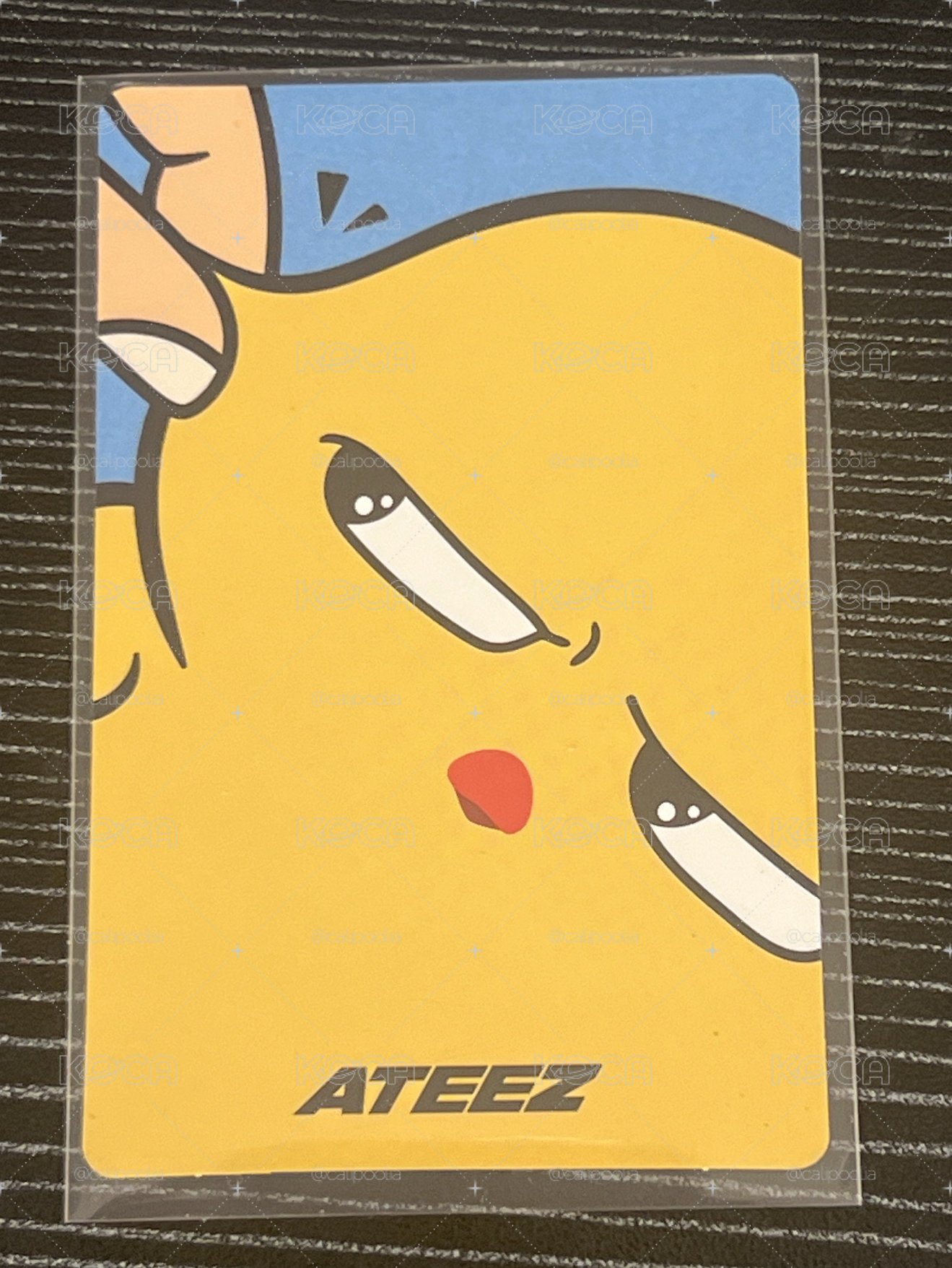 貓咪抓了雞