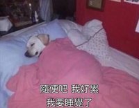 芋頭肉鬆