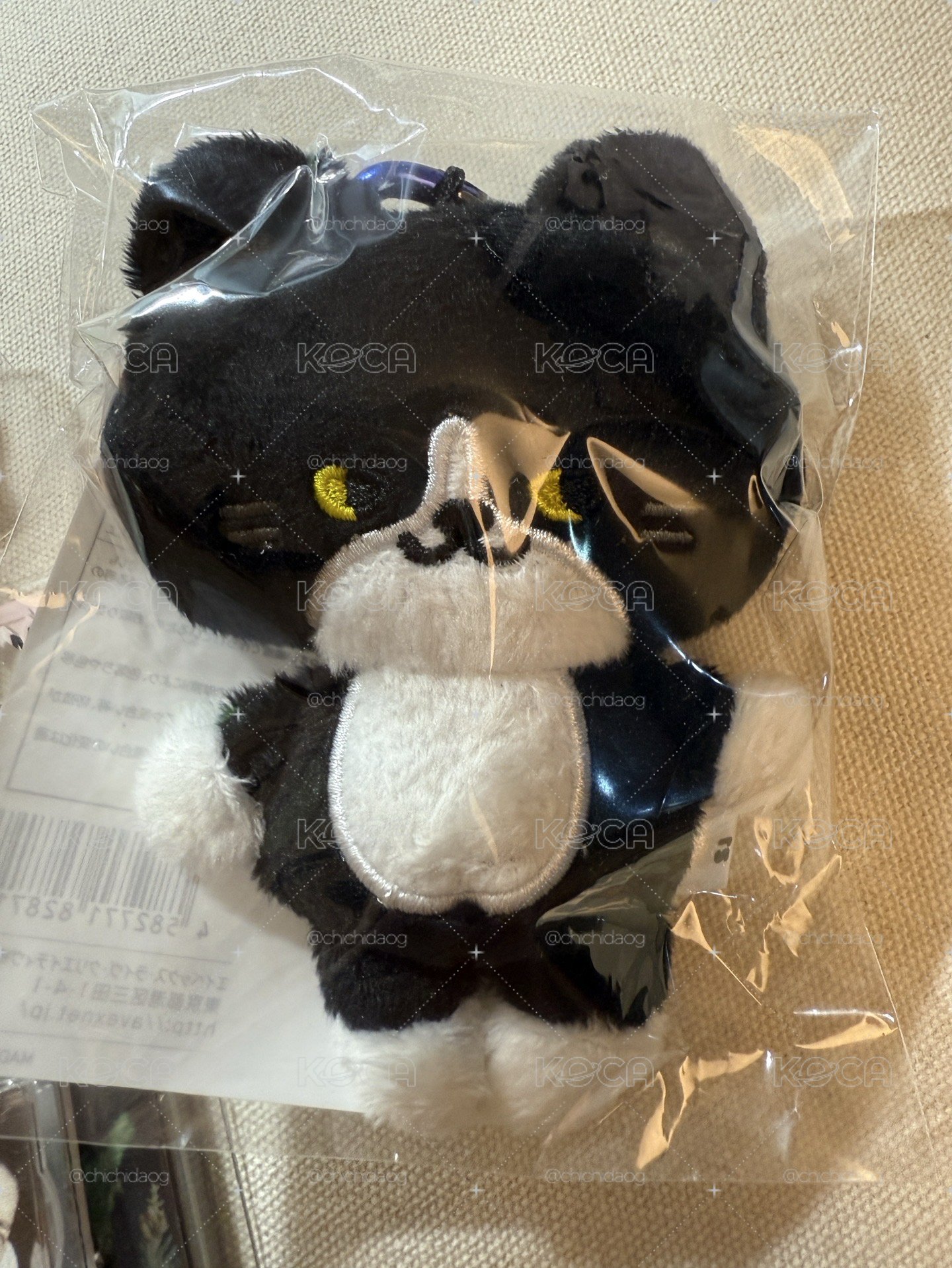 super junior日周Coco貓