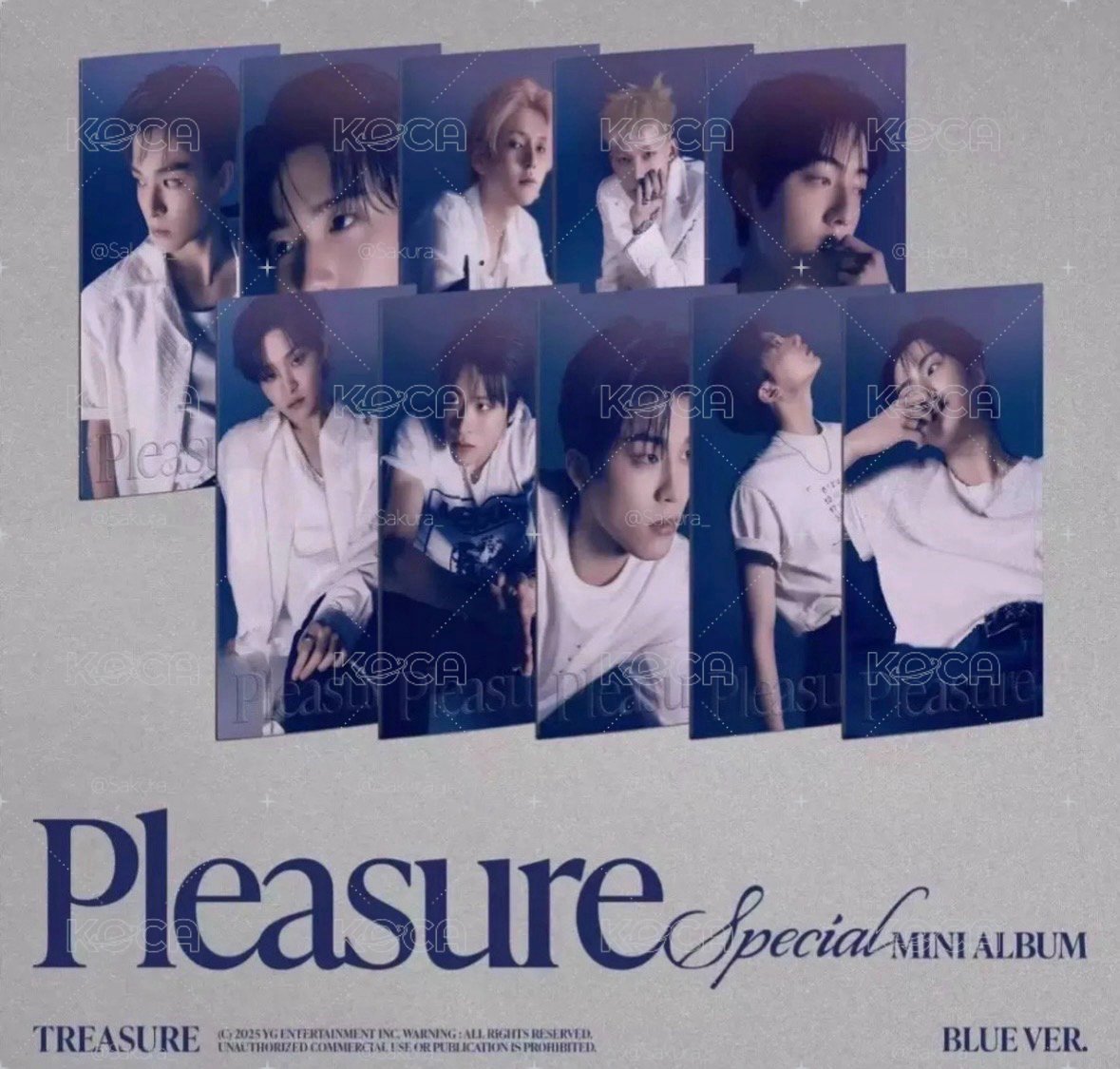 全新未拆 treasure pleasure尹材赫單封